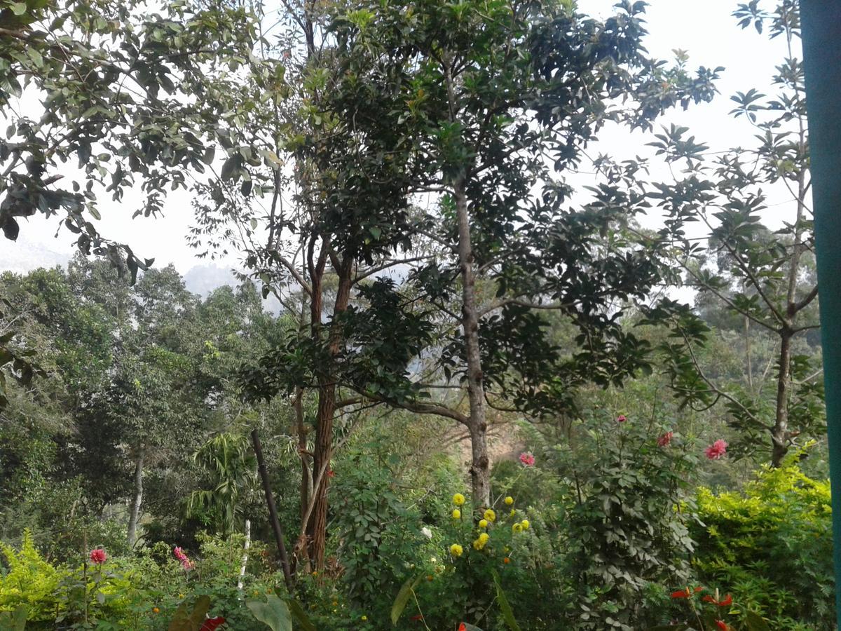 Yoho Nilmini Homestay إيلا المظهر الخارجي الصورة